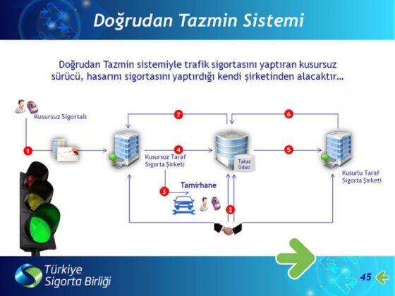 Değişimin Son Halkası: Doğrudan Tazmin Sistemi